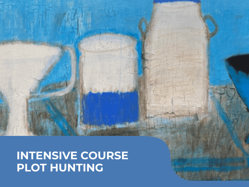Intensive course PLOT HUNTING