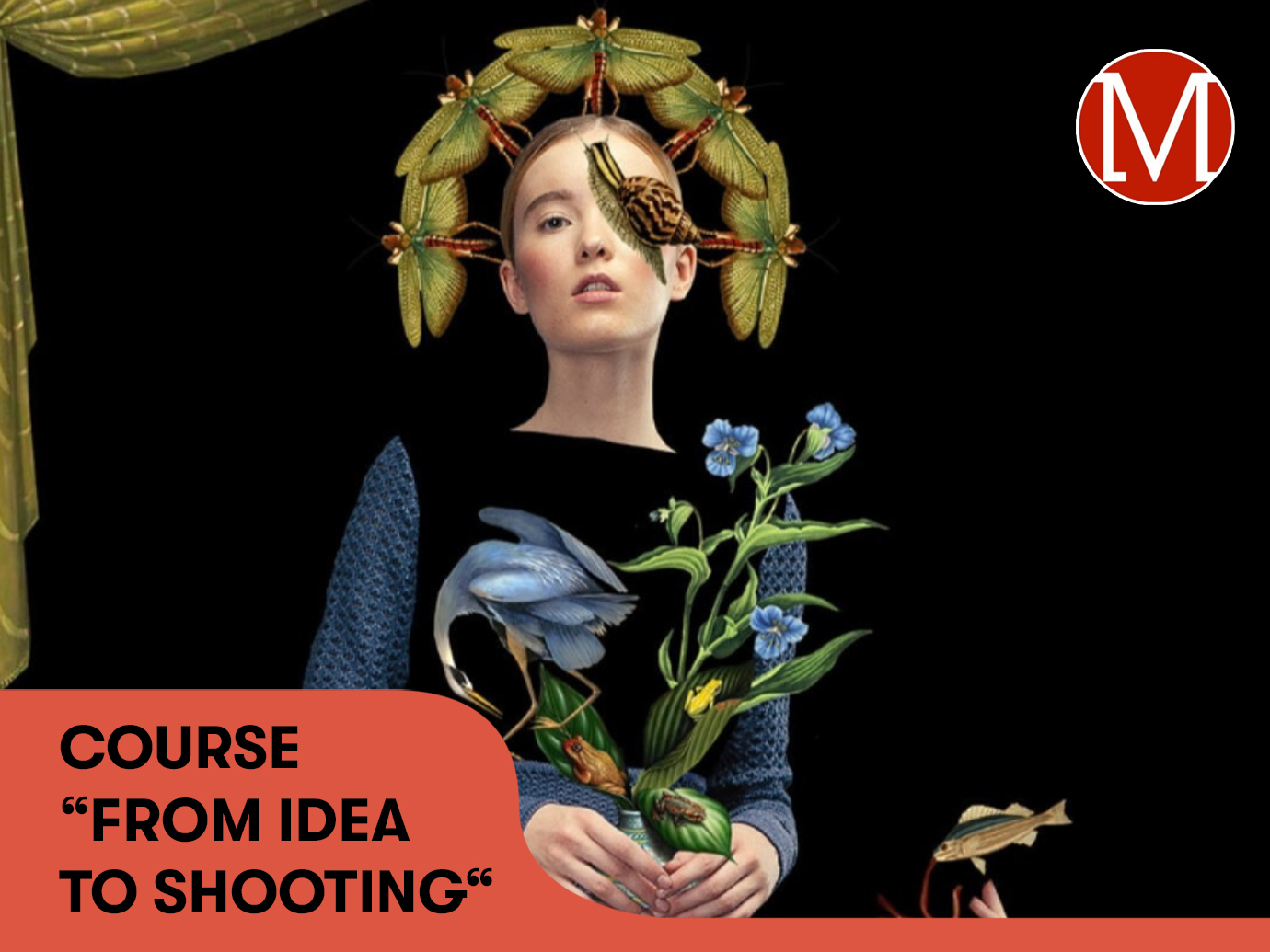 THE COURSE FROM IDEA TO SHOOTING